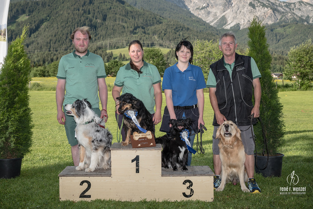 Team Rally Obedience 2019