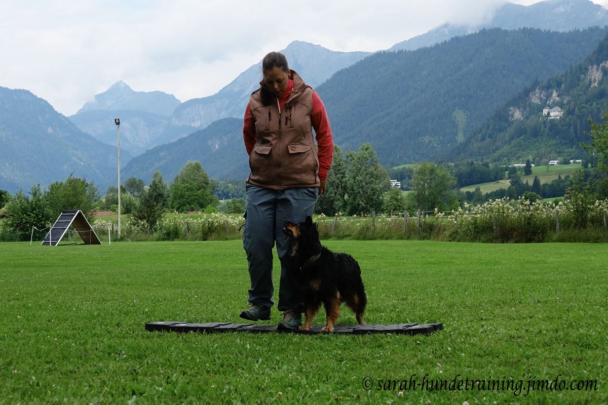 Training im Detail
