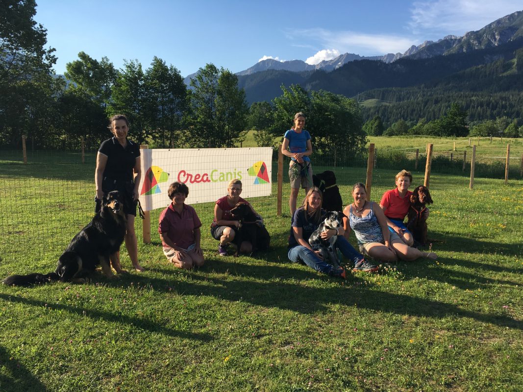 Abschlussbild Kurs Team Bildung