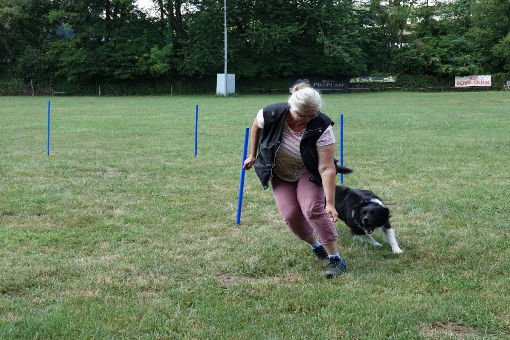Workshop CC Spielpartner Hund 10