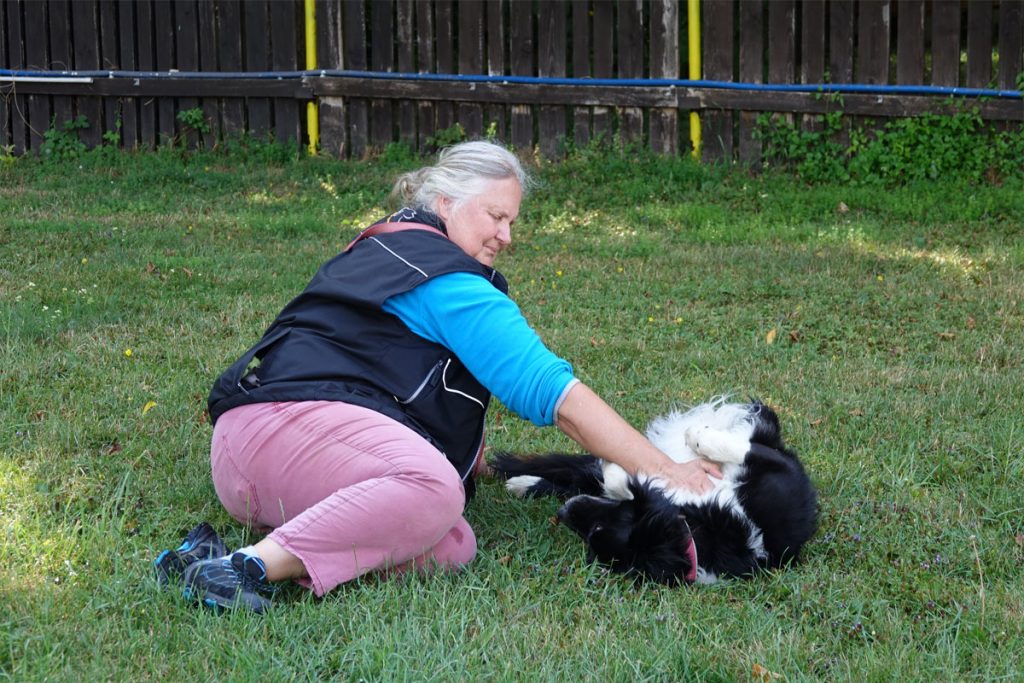 Workshop CC Spielpartner Hund