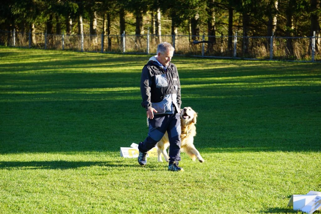Hundesport macht Spaß und bietet Beschäftigung!