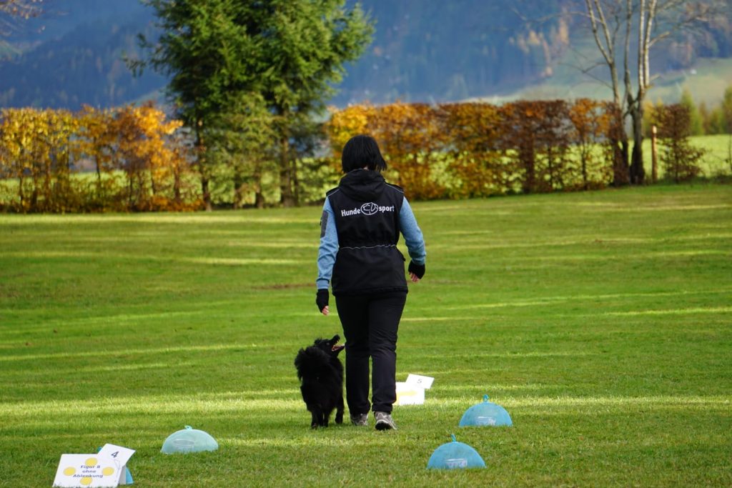 Rally Obedience Kurs