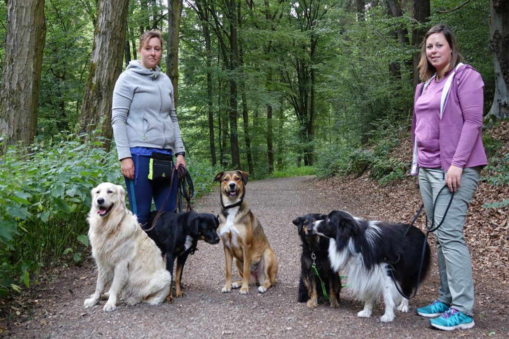 Spaziergang in der Gruppe - entspannt möglich!