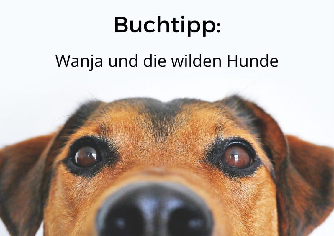 Buchtipp: Wanja und die wilden Hunde