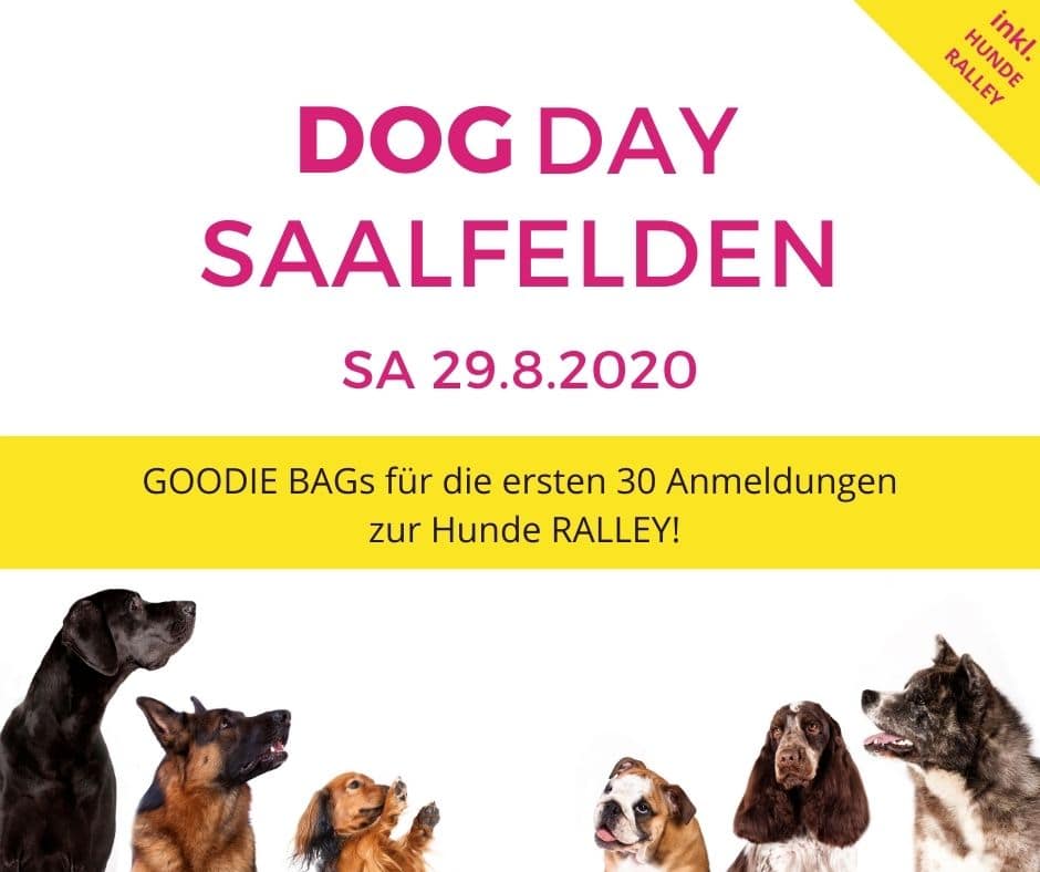 Goodie Bags beim Dog Day